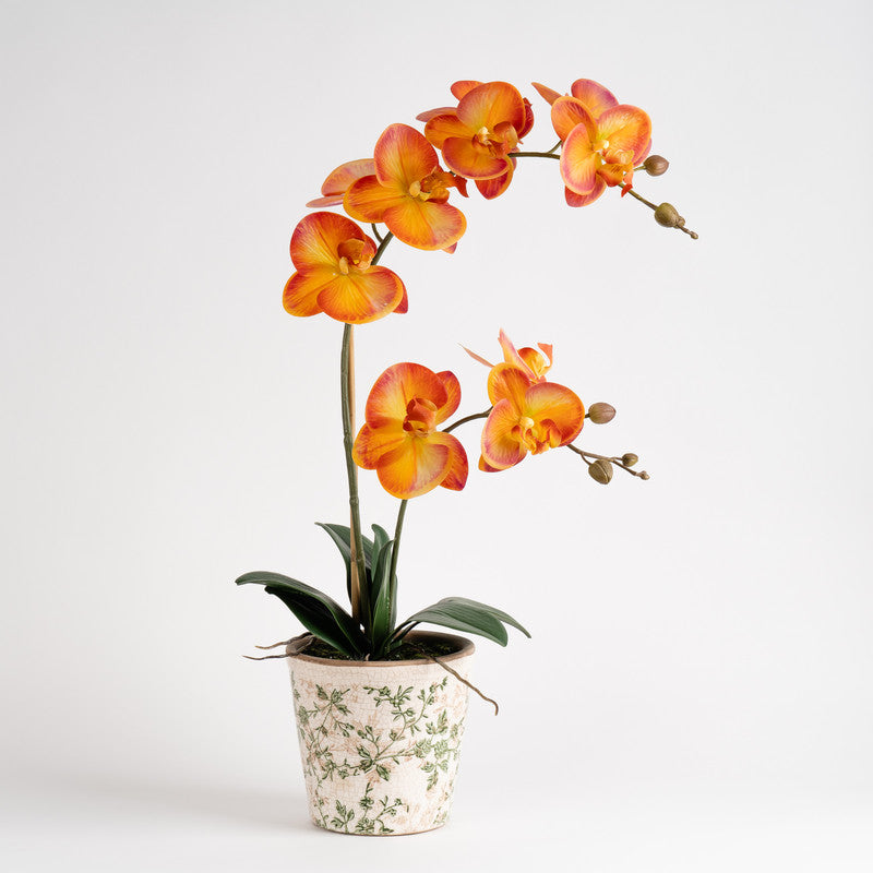 61cm Real Touch Orange Phalaenopsis Orchid in Pot